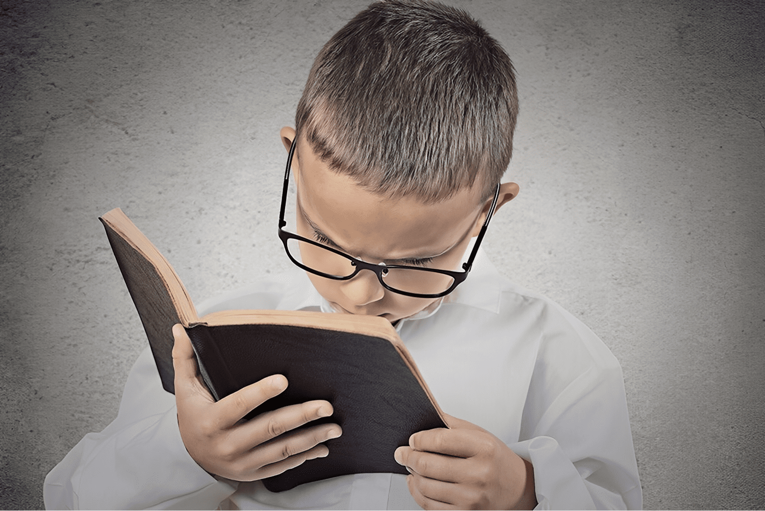 Young boy engrossed in a book