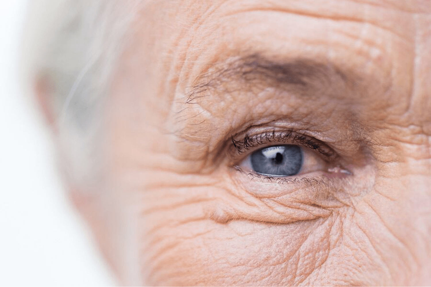 Detailed view of an aging eye